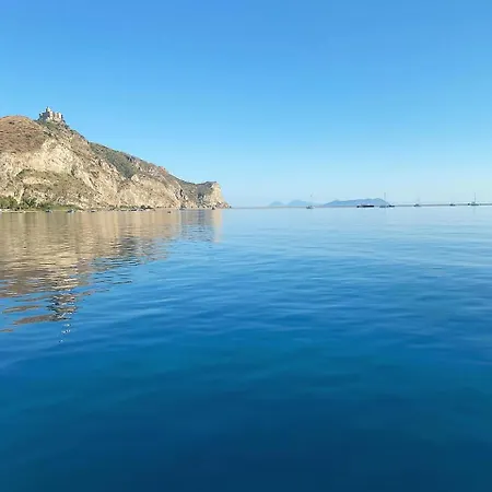 Fiore Di Loto * Oliveri